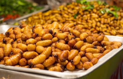 Five Interesting Health Benefits Of Sago Worms