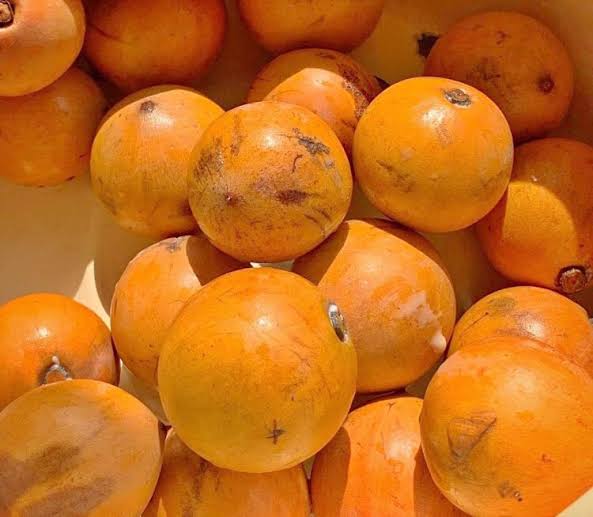 Five Interesting Health Benefits Of Agbalumo (African Star Apple)
