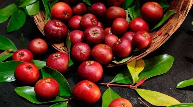 The Health Benefits Of This Summer Superfruit (Kokum)
