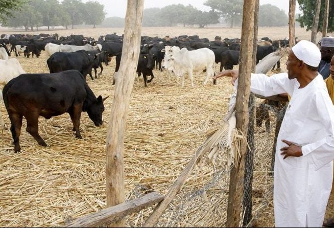 Buhari Is Not In Exile – Garba Shehu