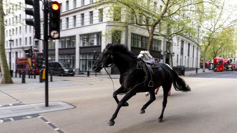 Army Horses On The Loose, Four Victims Injured In London streets