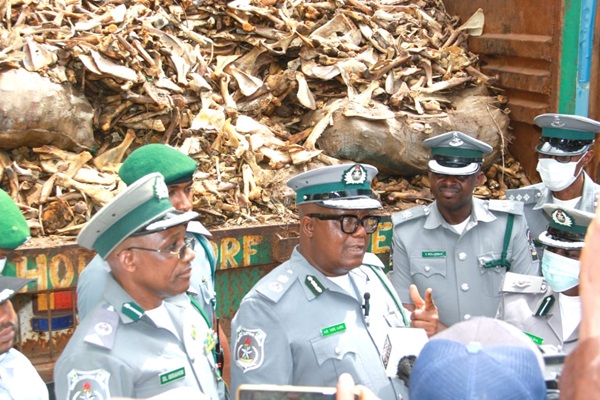 Customs Intercept Cannabis Worth N112 Million In Ondo/Ekiti Command