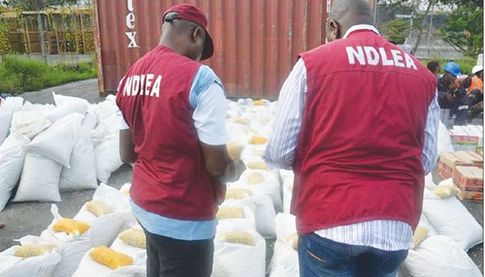 NDLEA Seizes 10,000kg Of Marijuana, 241 Convictions Secured In Ondo