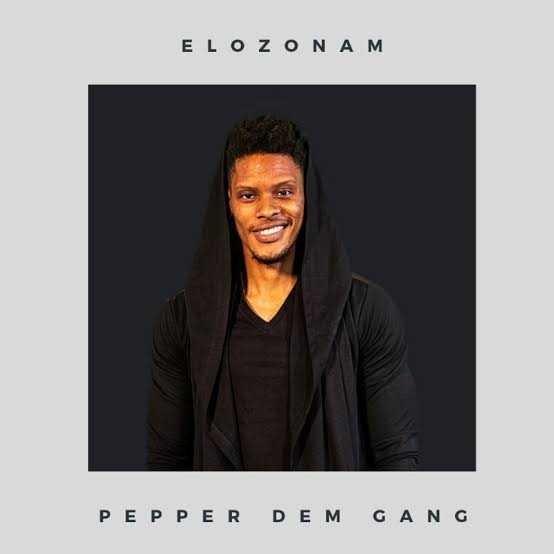 Nigeria Not Getting Any Better – BBNaija Star, Elozonam