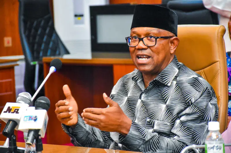 Zamfara Kidnapping: Insecurity Now A Daily Challenge In Nigeria -Peter Obi