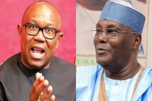 You Cannot Influence The North Against Tinubu, Alawuje Warns Atiku And Obi