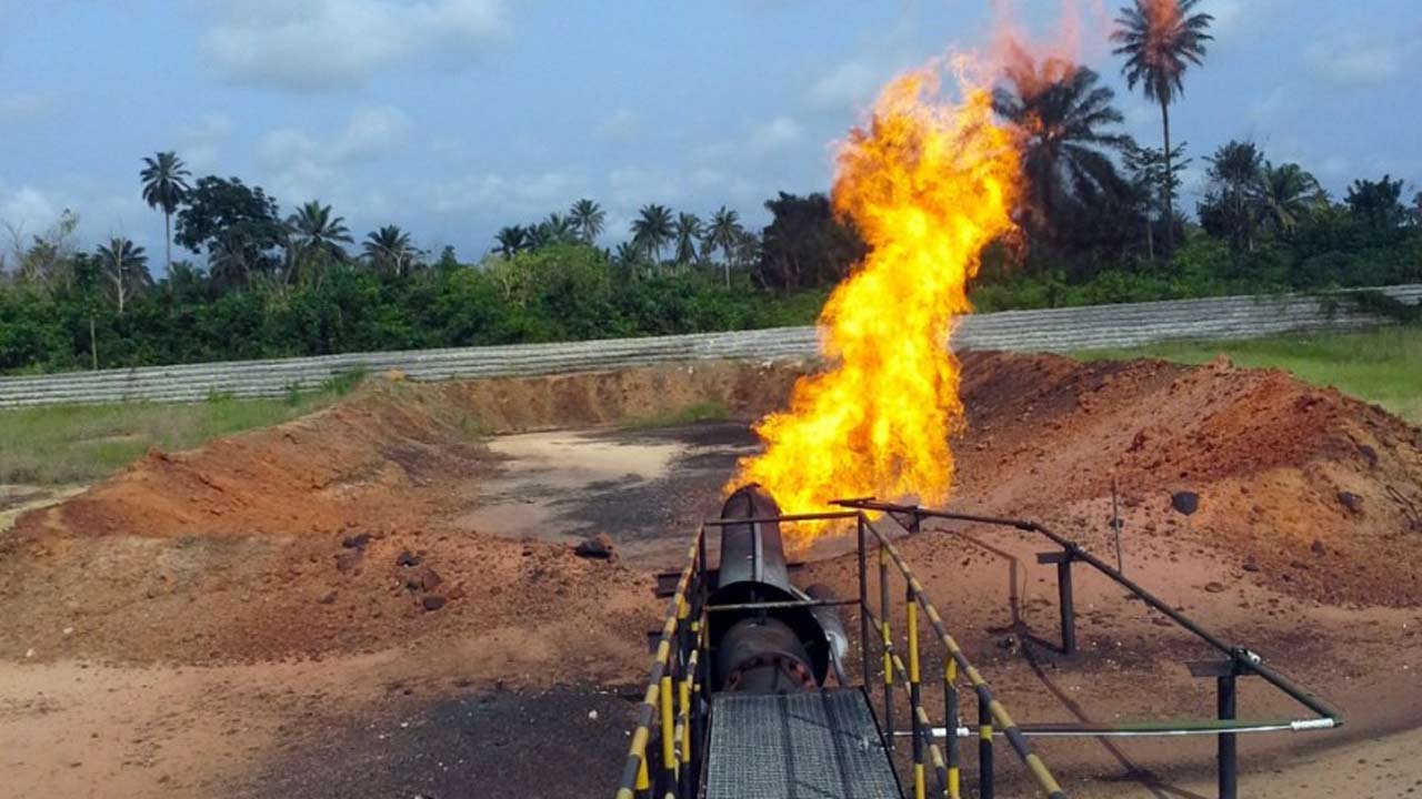 Niger Delta Groups And Scholars Seek End To Gas Flaring, Call For NDDC Overhaul