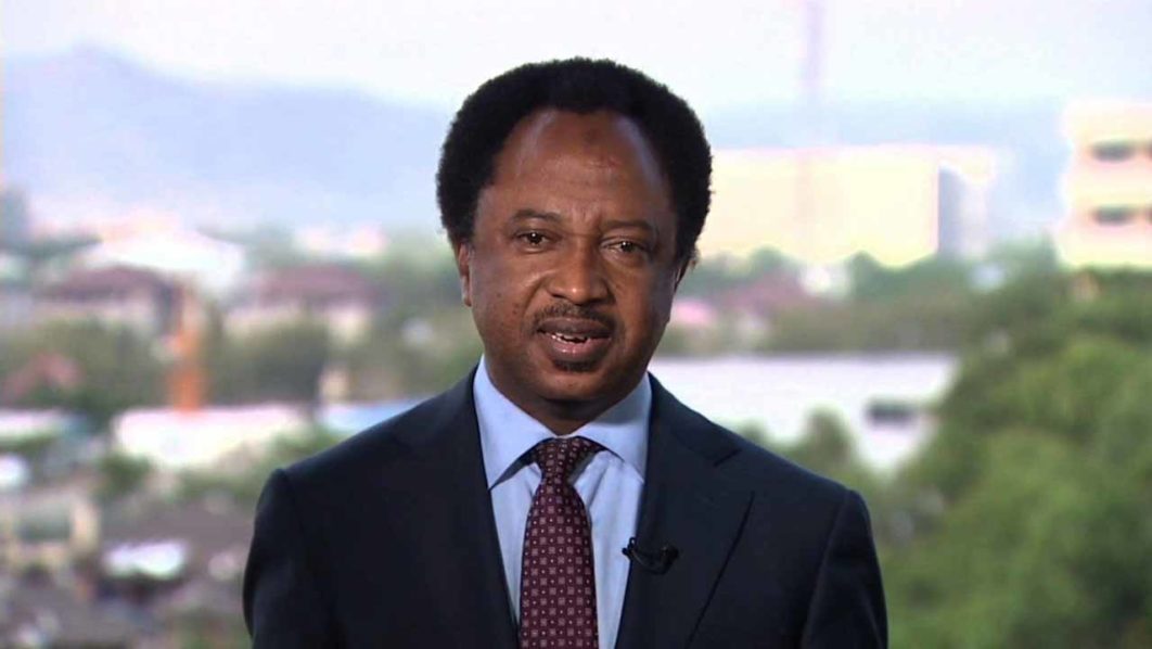 Revoked Visa: Leave US Before Trump Arrests You, Shehu Sani Warns Nigerians