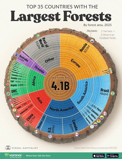Ranked: Countries With The Largest Forests In 2025